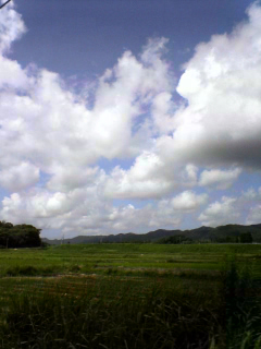 田畑の向こうへ緩やかに山が連なり
夏とも秋ともつかない雲が渡って行く