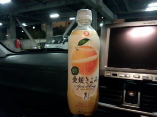 若干甘めの蜜柑ジュース with 炭酸 ^^;
高級なファンタオレンジ？(苦笑)