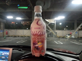 なんか妙に苦かった ^^;
もっとホップを抑えた方が良くないかな？