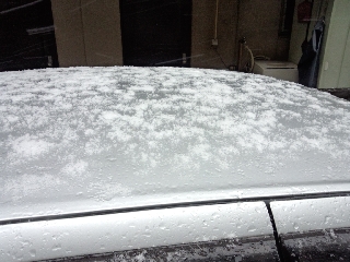 もう止んだようだが所々残ってる