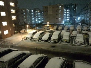 0500頃
既に10cmくらい積雪してる ^^;