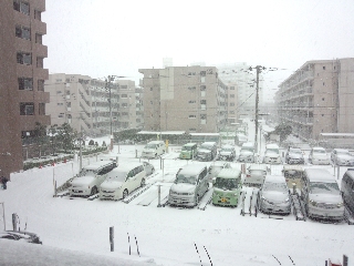 1500頃
20cmは無いけれど、という感じ