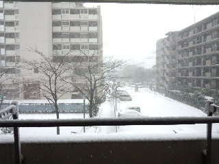 バルコニー側
わー、吹雪いてる ^^;