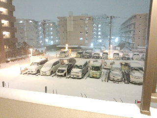 1800ちょっと前
既に20cmオーバー