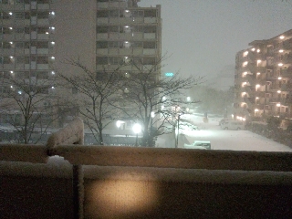 降雪中独特の光の拡散ですなー
スキー場とかっぽいよな