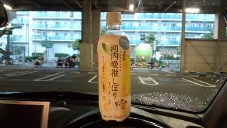 オレンジソーダとあまり区別が...
若干苦味があって蜜柑よりは夏蜜柑っぽい