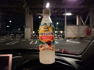 うん、夏みかんよりも少し甘い柑橘っすね