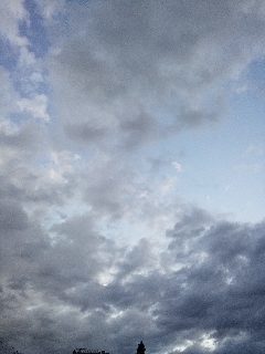 水無月の半月