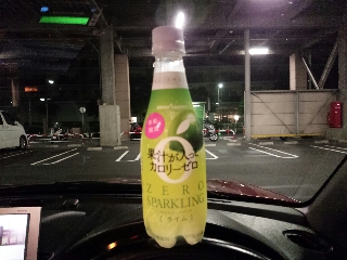 ライムの酸っぱさとかよりも渋味が勝ってる
けど、決して不味くはない