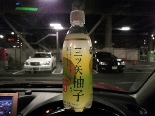 柚子っぽさは抑え気味だが
却ってそれが自然っぽい感じ