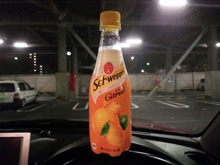 なんかこう...炭酸にする必要があるのかなぁ？
と思ってしまった