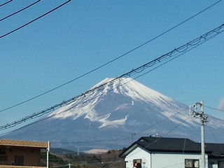 宝永火口にも雪が無い
こりゃ確かに暖冬だ 宝永火口