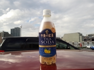 うぐっ ^^; 
やはり紅茶やコーヒーと炭酸の組み合わせは
難しいねぇ