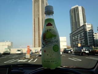 ココナツとライチ...どうかと思ったが
マスカットみたいで意外に飲めた