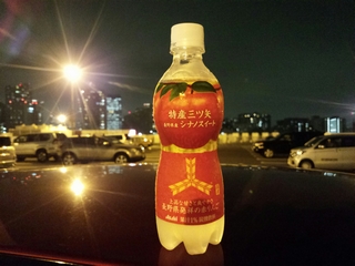 なんか甘ったるかった印象