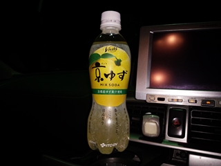 柚子とはちょっと違う気がする...
なにかこうもっと苦みの強い柑橘類