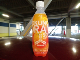 特筆する事無く炭酸オレンジ
昔懐かしって感じかな