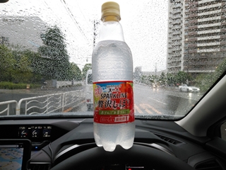飲んだのは確かだが味は...忘れた(そういう事にしておく)