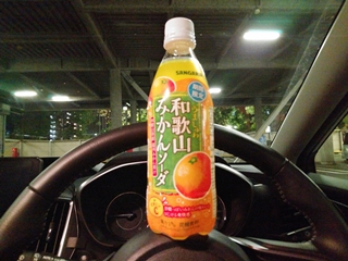 飲んだのは確かだが味は...忘れた(そういう事にしておく)