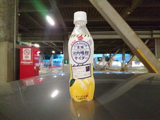 飲んだのは確かだが味は...忘れた(そういう事にしておく)