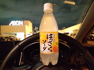 飲んだのは確かだが味は...忘れた(そういう事にしておく)