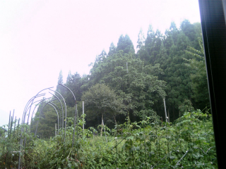 伯母の家からの景色...隣の畑