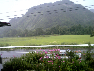 伯母の家からの景色...向いの田圃と山とちょこっと車が花の陰(笑)