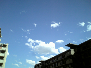 spring day