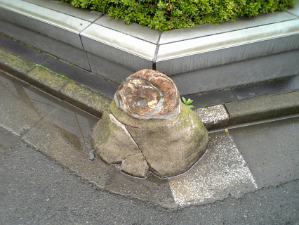変な石...