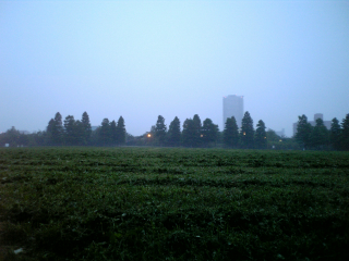 朝靄の公園