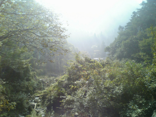 着いた早々の感じ...ちょっとだけ深山幽谷っぽい(笑)
