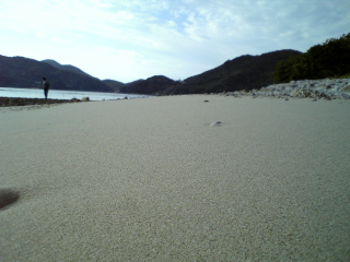 この地にて亡き母親との約定を果たす