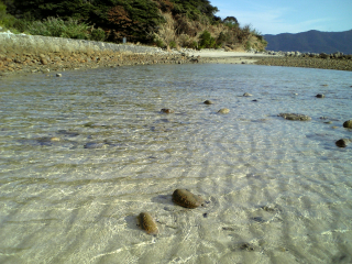 かなり水はきれいだな