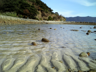 これが東シナ海の海の臭いなのかな