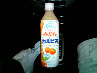 あんまりカルピスっぽくない
蜜柑味の何か別の飲み物かな～