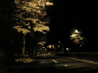 夜の道