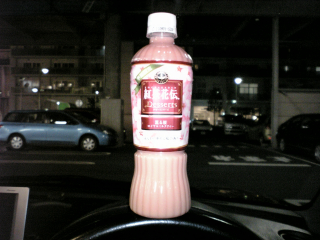 桜っつーかなんつーか...
拙者、やっぱり花って好きじゃないのかも ^^;