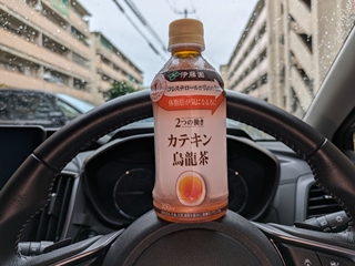 ちょっと渋めの普通の烏龍茶だね