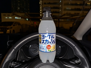 安い味だけど嫌いじゃない