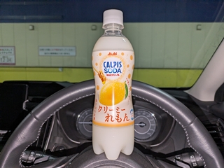 そのものズバリって感じ