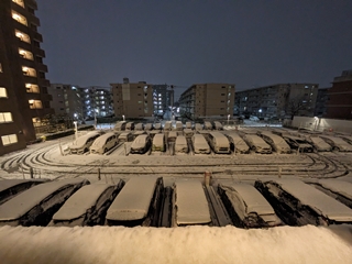 積もってるなぁ 積もってるなぁ