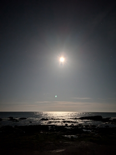これも夜景モードで月と海と夏の代表的な星座の一つのさそり座