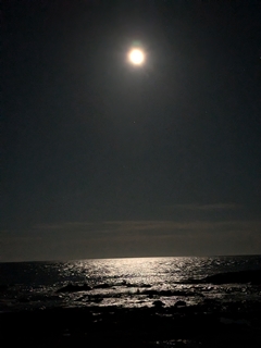 これはポートレート撮影。これでも肉眼よりは星が写っている